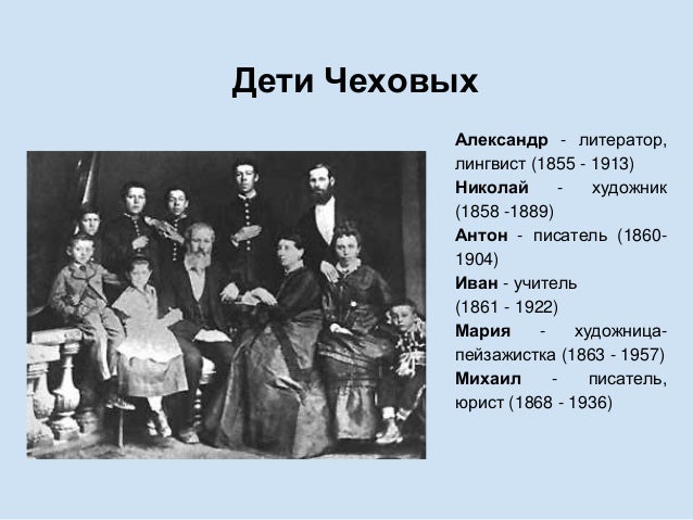 комнатные цветы с большими зелеными листьями и белыми цветами названиями и фото